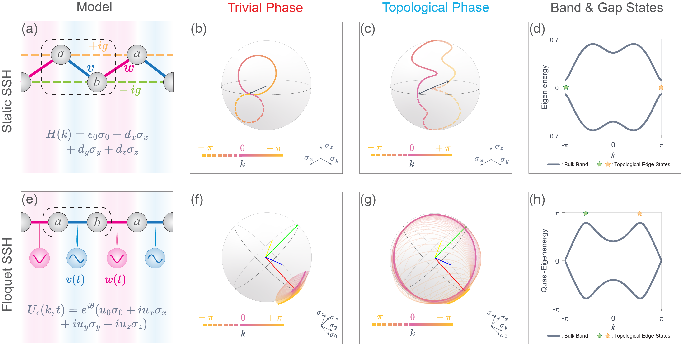 Fig2